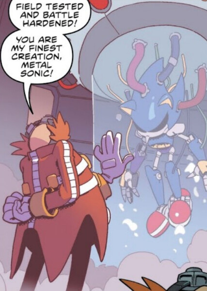 Eggman and Metal Sonic photo