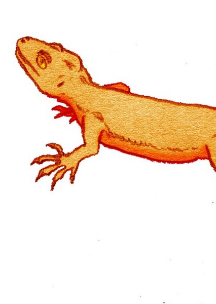 Eichstaettisaurus