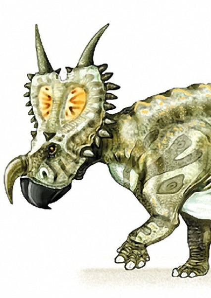 Einiosaurus photo