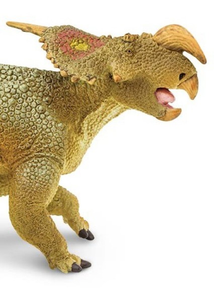 Einiosaurus photo