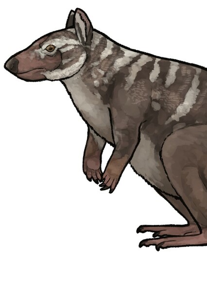 Ekaltadeta