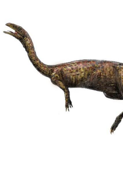 Elaphrosaurus