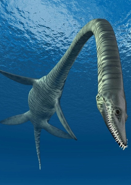 Elasmosaurus