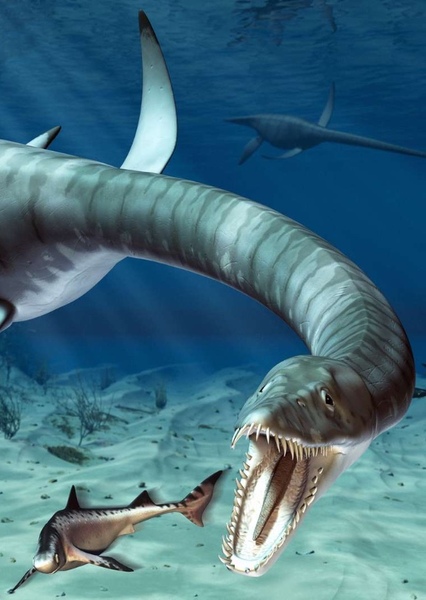 Elasmosaurus photo