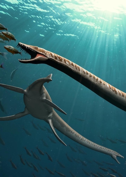 Elasmosaurus photo
