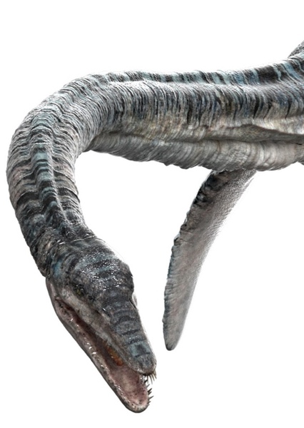 Elasmosaurus photo