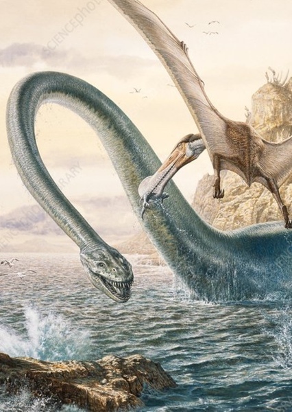 Elasmosaurus photo