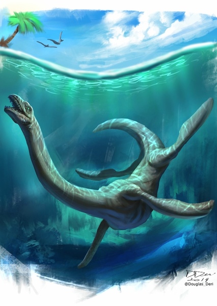 Elasmosaurus photo