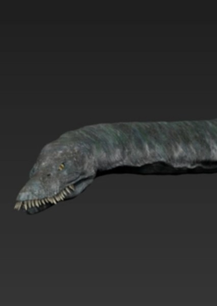 Elasmosaurus photo