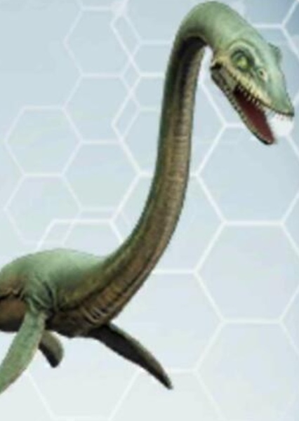 Elasmosaurus photo