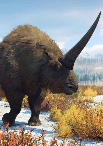 Elasmotherium photo