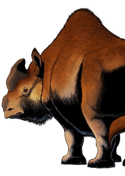 Elasmotherium photo