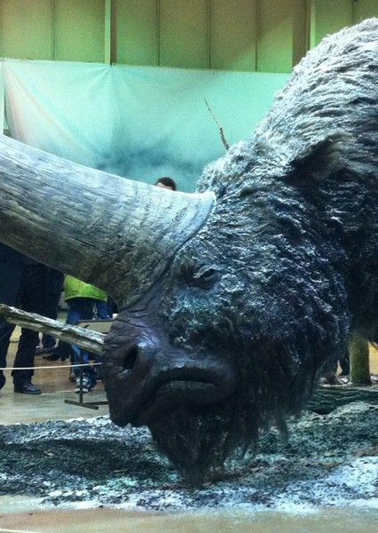 Elasmotherium photo