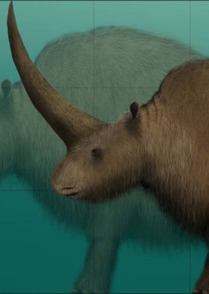Elasmotherium photo