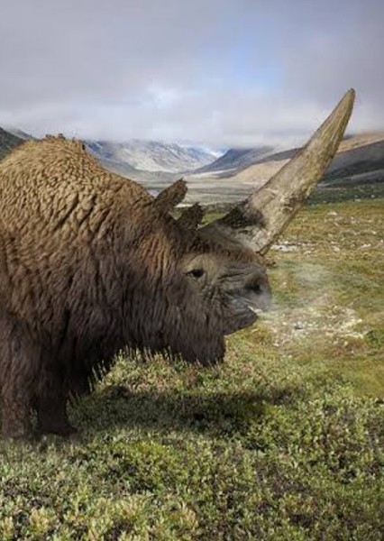 Elasmotherium photo