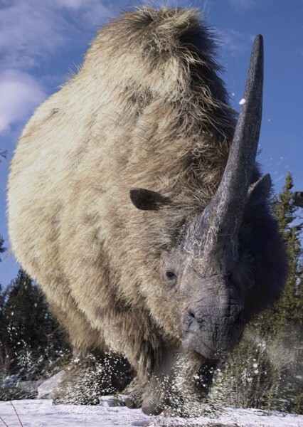 Elasmotherium (Prehistoric Park)