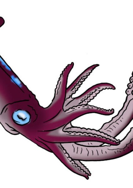Electric squid photo