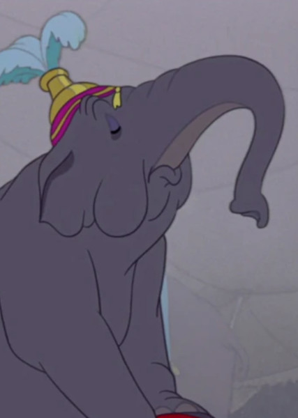 Elephant Matriarch photo
