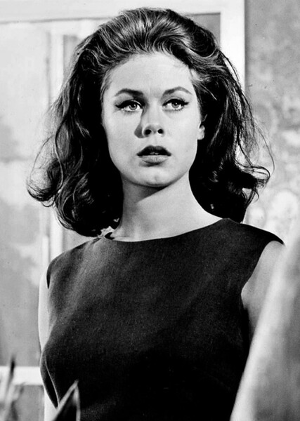 Elizabeth Montgomery photo