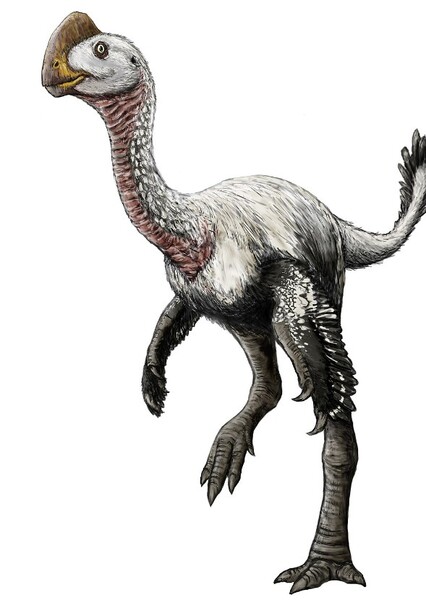 Elmisaurus