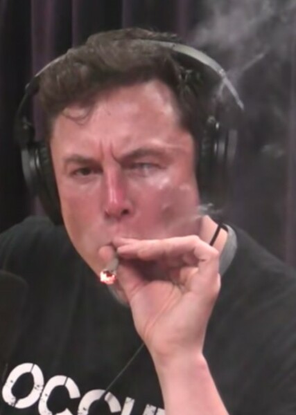 Elon Musk photo