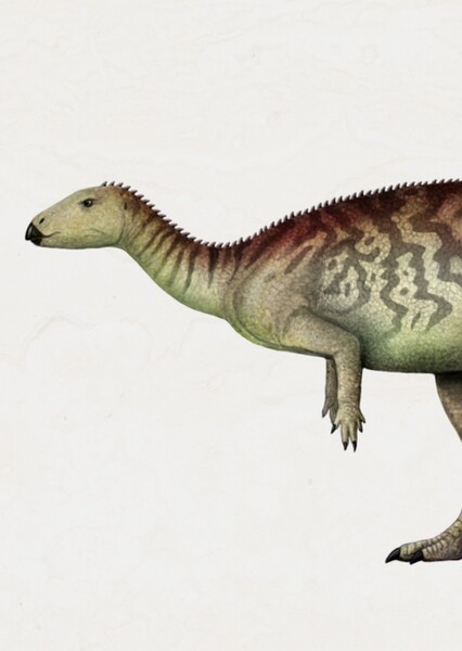 Elrhazosaurus