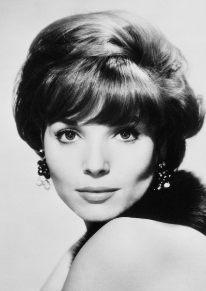 Elsa Martinelli photo