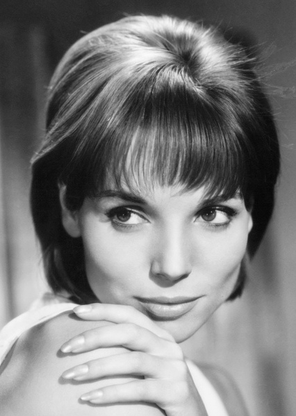 Elsa Martinelli photo
