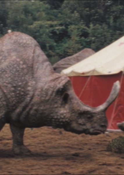 Embolotherium photo