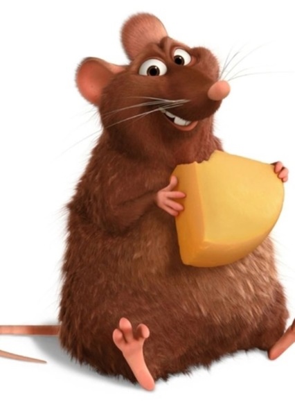 Emile photo
