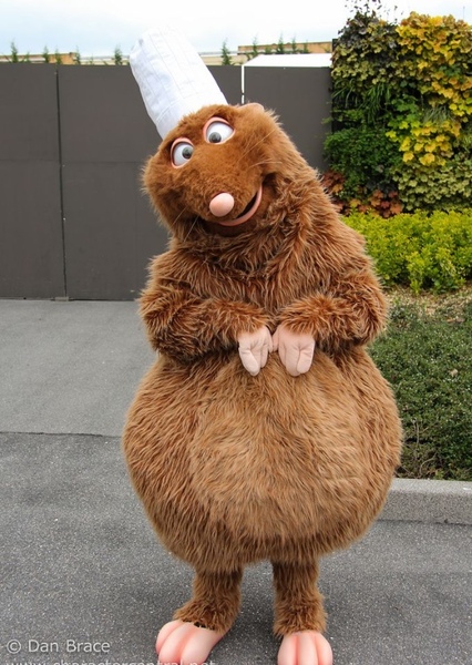 Emile photo