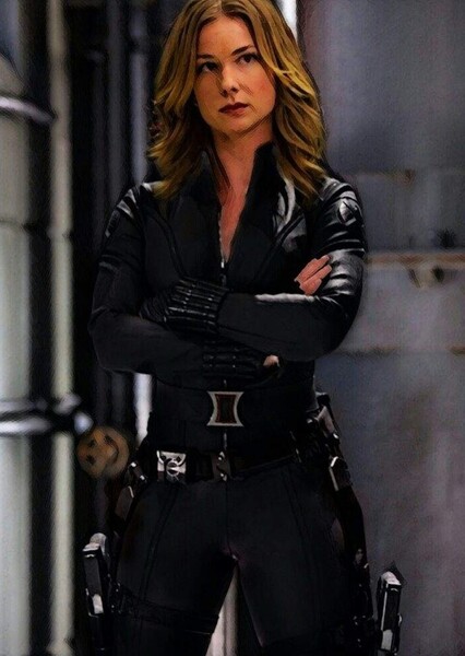 Emily VanCamp photo