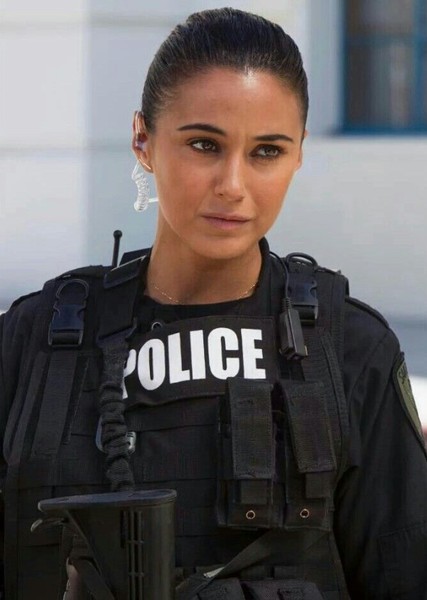 Emmanuelle Chriqui photo