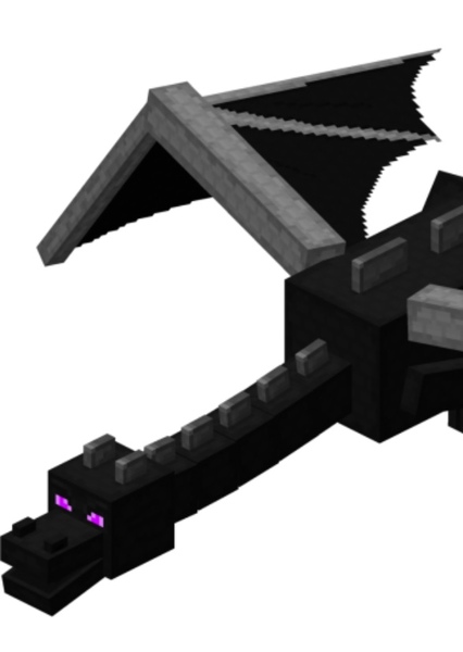 Ender Dragon photo