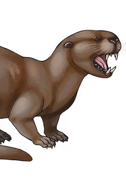 Enhydriodon photo