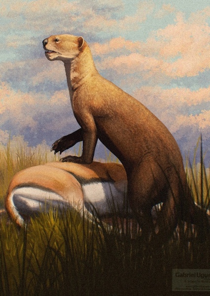 Enhydriodon photo