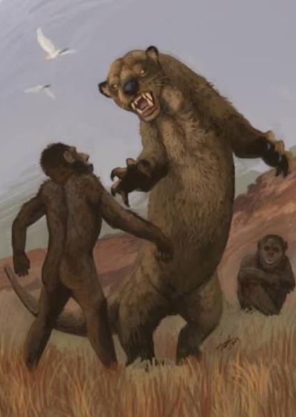 Enhydriodon photo
