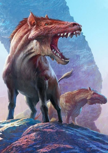 Entelodon photo