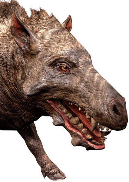 Entelodon