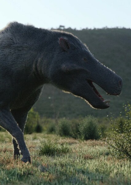 Entelodon
