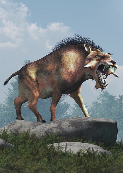 Entelodon photo