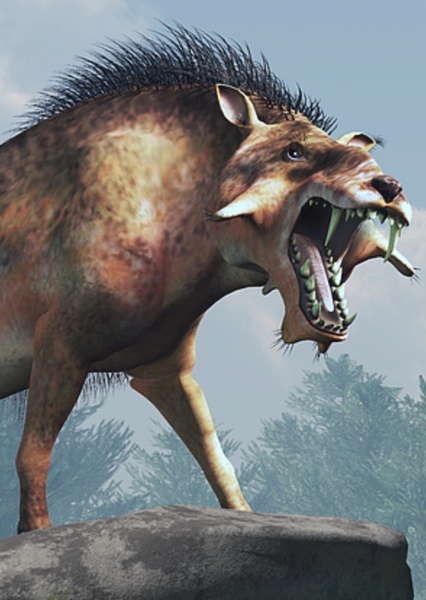 Entelodon photo