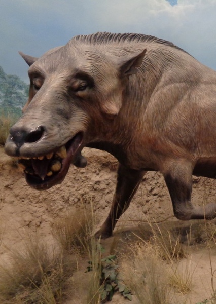 Entelodon
