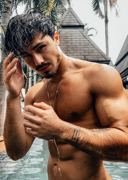 Enzo Carini photo