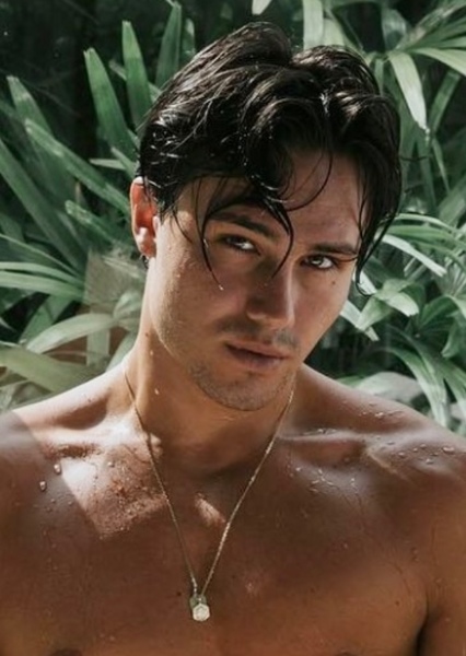 Enzo Carini photo