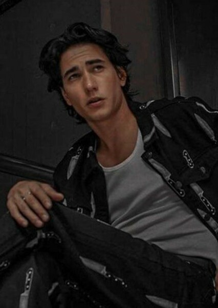 Enzo Vogrincic photo