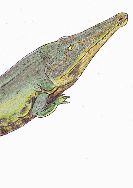 Eocyclotosaurus