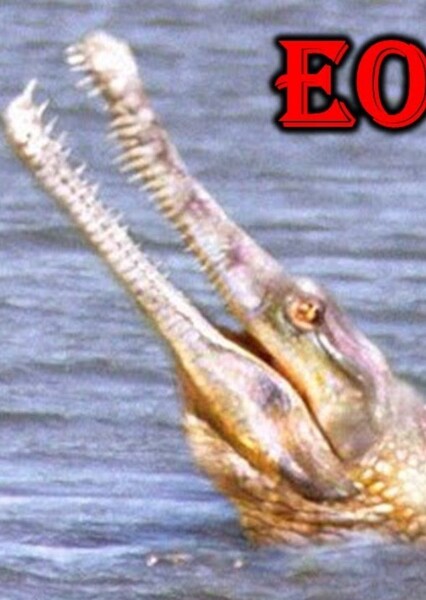 Eogavialis
