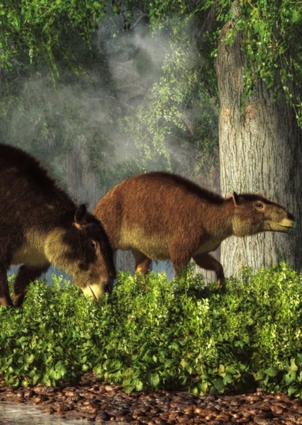 Eohippus photo
