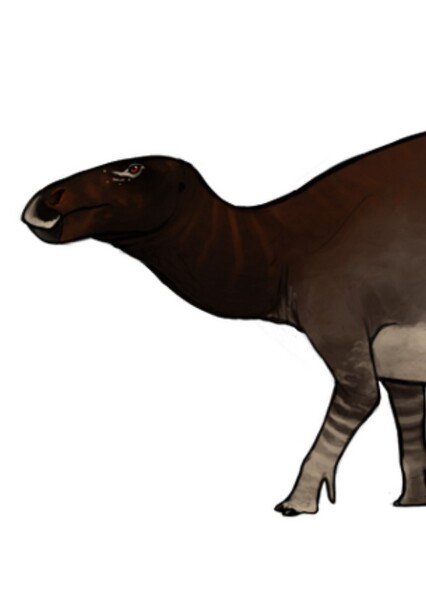 Eolambia